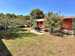 Rovigno, casa su un piano con piscina, giardino e uliveto