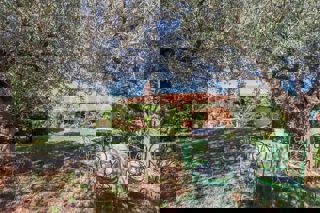 Rovigno, casa a un piano con ampio terreno, a 500 metri dal mare