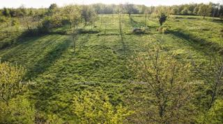 Terreno edificabile Žminj