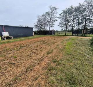 Vendita - terreno edificabile con progetto preliminare vicino a Karigador, Brtonigla!