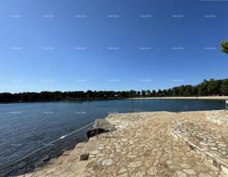 Appartamento Novigrad