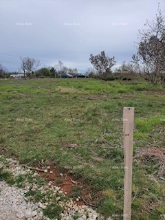 Vendita di terreni agricoli, Marčana