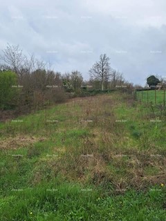 Terreno edificabile e agricolo in vendita, vicino a Gimino