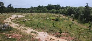 Vendita di terreno con permesso di costruzione per la costruzione di una villa con piscina, Sanvincenti!