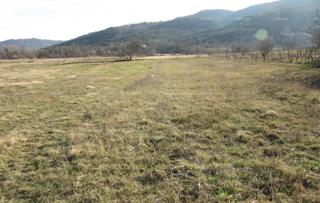 Terreno edificabile Buzet