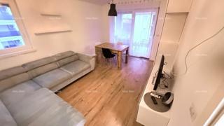 In vendita: Appartamento completamente arredato in una zona tranquilla di Žbandaj – Poreč