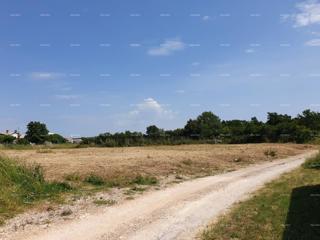 Prostrana costruzione di 1700 m² a Šišan - un'opportunità ideale per la tua casa o investimento