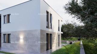 LIŽNJAN - The translation of the title