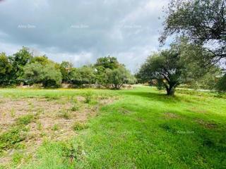 Terreno edificabile Krnica