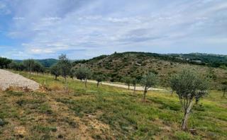 Momjan – vendita di terreni edificabili in ottima posizione.