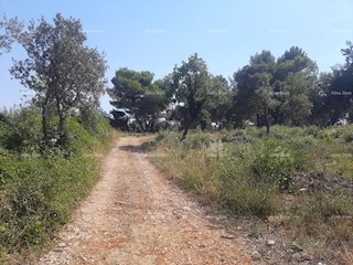 Terreno agricolo Ližnjan