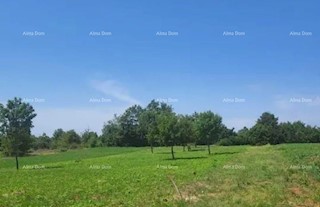 L'Istria, Gimino, Laginji. Terreno edificabile. 2370 m2.