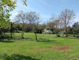 Terreno agricolo Rovinj