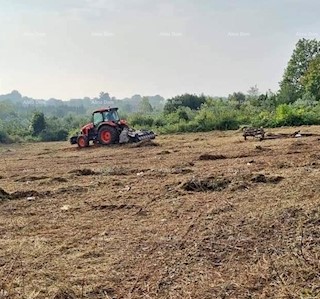 Verteneglio. Terreno edificabile.