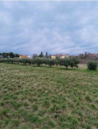 Terreno edificabile Novigrad