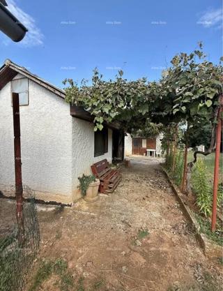 Vendita di due case legalizzate più piccole con terreno