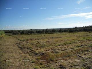 Vendiamo terreno a 3 km dal mare.