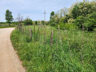 Terreno edificabile in vendita, 12.000 m2, in una posizione attraente appena sotto il piccolo villaggio istriano di Sveti Ivan. Si trova lungo la strada asfaltata. La strada non è trafficata. L'infrastruttura non è lontana dalla trama. Adatto per la