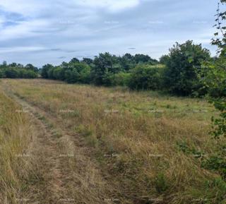 Terreno edificabile di 1.600 m² vicino a Svetvinčenti