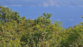 Terreno agricolo in vendita, vicino a Labin