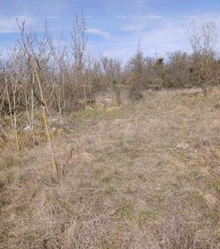 VENDITA DI TERRENO EDILIZIO, 6.230 m² – PLOVANIJA (BUJE)