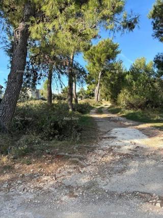 Medulin – terreni agricoli al confine della zona edificabile