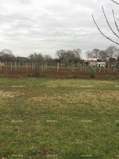 Terreno agricolo in vendita, Rovigno