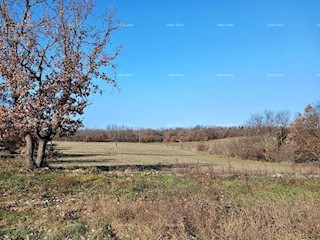 Terreno edificabile 1100 m2 in vendita, Marčana