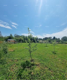 Terreno agricolo in vendita a Valbandon