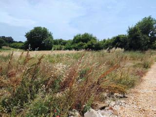 Terreno edificabile in vendita, 550 m² - 15 km da Lisignano