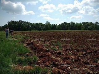 Terreno agricolo Svetvinčenat