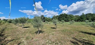 Terreno agricolo Kaštelir-Labinci