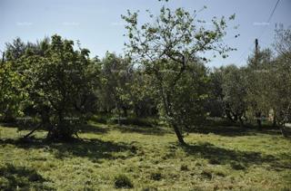 Terreno edificabile e agricolo – Loborika