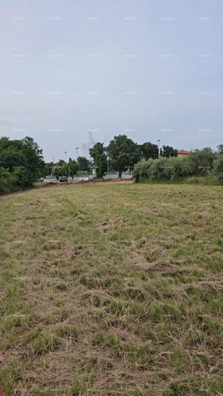 Vendita - terreno edificabile di 500m2, Umago!