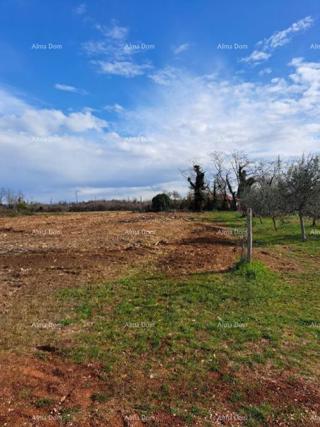 Terreno edificabile attraente a Umago – 500 m dal mare