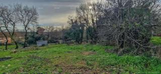 Nova Vas (Brtonigla) – Terreno edificabile di 555 m²