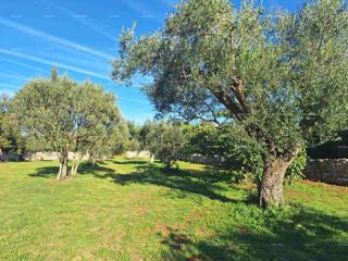Terreno agricolo vicino al mare, Peroj-vendita!