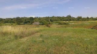 Terreno edificabile 2.539 m² – Smoljanci, Svetvinčenat