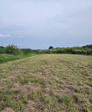 Eccellente opportunità - vendita di terreno edificabile in un'area attraente vicino al centro e al mare, Umago!