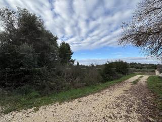 Premantura, terreno edificabile di 1.600 m²