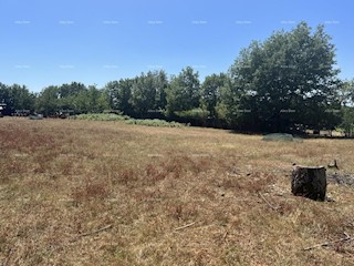 Terreno agricolo Vižinada