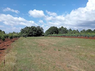 Terreno agricolo Juršići