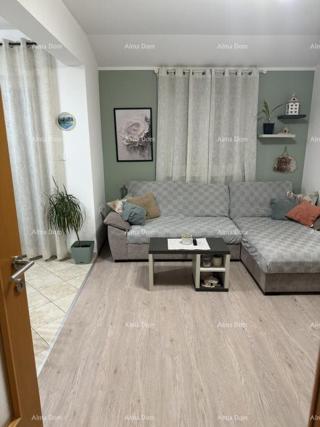 Žminj, Vendesi appartamento completamente arredato!