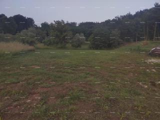 Terreno edificabile con progetto preliminare, 1818 m², comune di Pićan