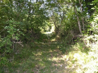 Terreno Poreč, 60.000m2