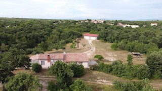 LARGE PROPERTY WITH HOUSE