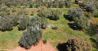 Buie - Kaštel - terreno edificabile 1250 m2, OCCASIONE