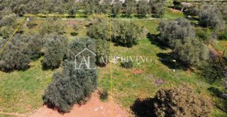 Buje - Kaštel - OPPORTUNITÀ, terreno edificabile 1200 m2