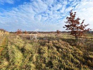 Umago-dintorni, Terreno edificabile in una bella posizione, 1.566 m2