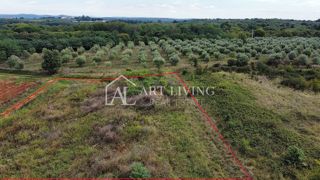 Umago, Dintorni – Terreno Agricolo Attraente di 2.600 m² in Ottima Posizione
